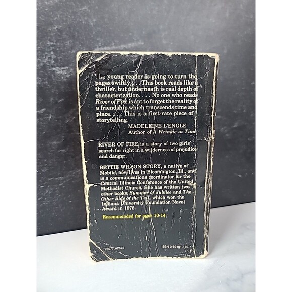 River Of Fire By Bettie Wilson Story Paperback - Picture 9 of 10
